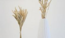 春天花自家开心情好的句子