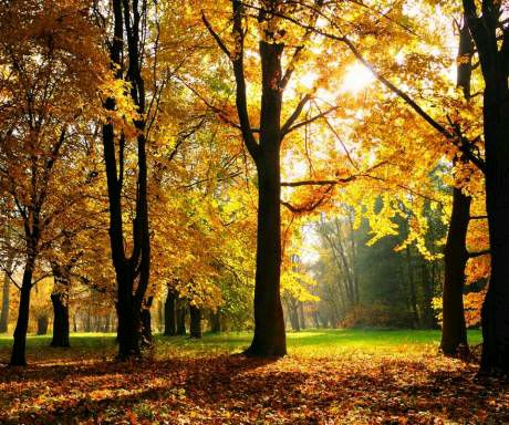 9.老师,鉴于我们今天散发出的智慧,那时您点燃的火花仍在闪耀!