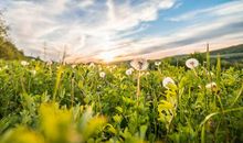 感谢相遇亲情的句子唯美句子