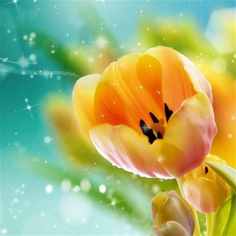 10.家是绿色灌木丛中的一朵红色的花，使您充满斗志；