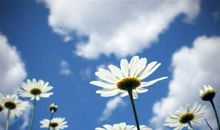 要天天开心的句子