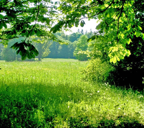 11.我的家人很穷，我不能在新年穿新衣服，所以到目前为止，我还不知道要过新年穿新衣服。那时，我无法获得幸运的钱。我长大后，从来没有从父母那里得到过幸运的钱。