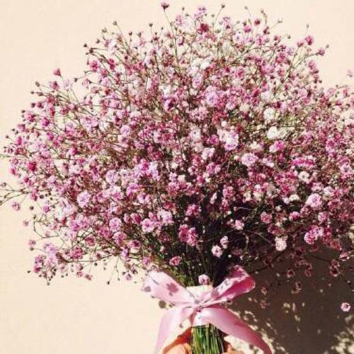 12.这是一个可怜的孩子，他很早就领导了这所房子。我从来没有羡慕那些能得到幸运钱的伙伴。我能理解父母的困难。现在想想，春节绝对不像现在这样有趣。