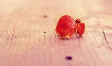 青春正能量的句子