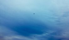 温馨亲情的句子大全