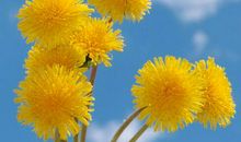 心烦发疯的句子