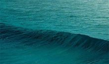 童趣与亲情的句子