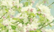 青年文摘亲情的句子