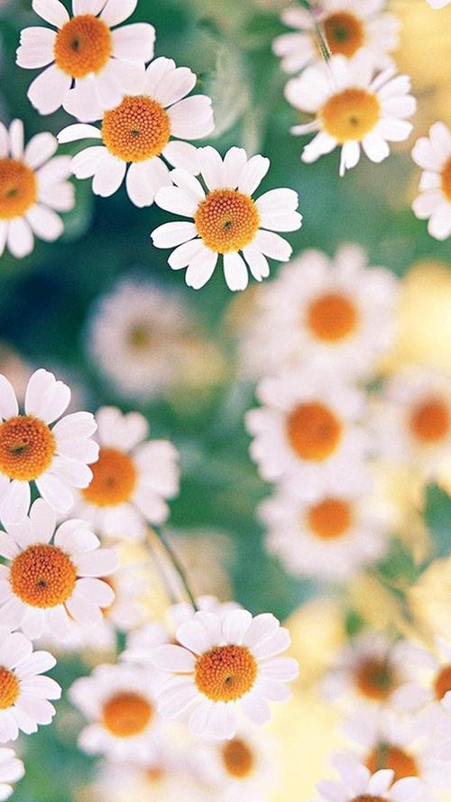 12.家庭之爱是彩虹在天上飞舞,使忧郁的人们感受到了世界的温暖。