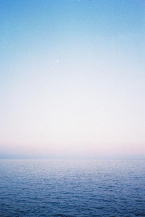 10.亲情有时是皇室竞争者遗弃的弱点，在我生命的花园中永久开放