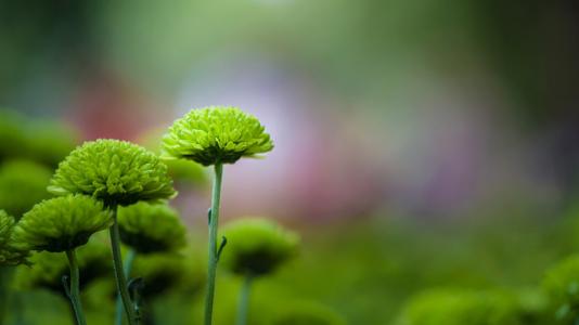 10.家庭之情是一瓢瓢泼的雨水,在春天飘来,使孤独和寂寞的人干dry了灵魂。