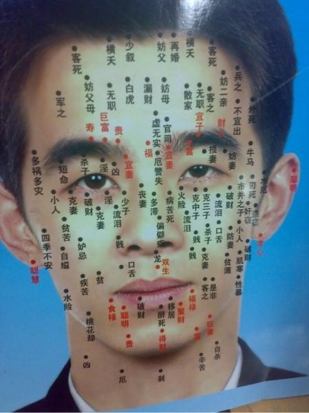 赞美女性的句子