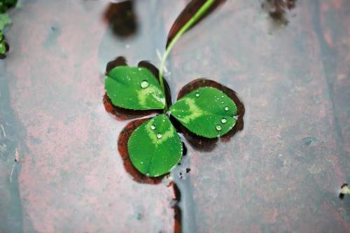 9.所谓的忠诚仅仅是因为背叛的筹码还不够。