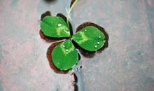 现实生活中心痛的句子