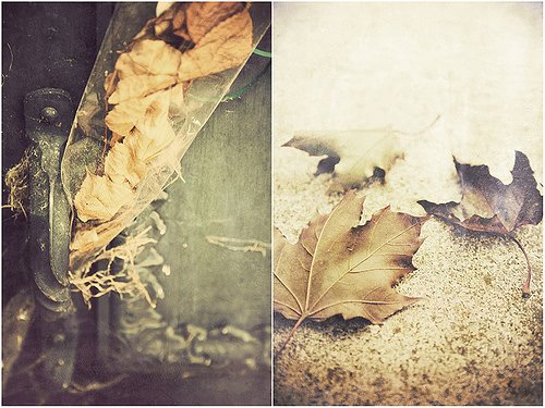 10.谁愿意忘记，毕竟这些路已经走在一起。