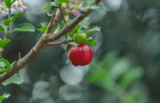 11.有时候兄弟会是这样的事情,它不需要时间的洗礼,不需要永恒的爱誓言。您只需要有共同的感受,共同的思想和共同的梦想,您就会在最危险的时刻相互支持。