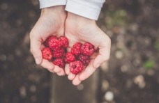 12.梦想;时间不够长,但是我们需要梦想。爱;人们总是受到伤害,但我们仍然记得。雨;不管它有多美丽,我们仍然喜欢阳光。您;尽管不在我身边,但我永远不会忘记你,亲爱的兄弟。你好吗?