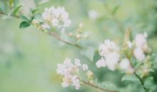 形容自己开心的句子