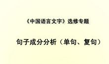 体现语言魅力的句子