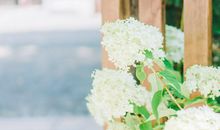 与妈妈之间亲情的句子