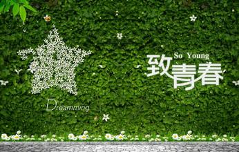 描述青年的句子