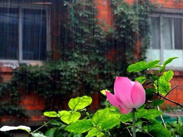 12.每当我想起那刻骨铭心的时刻时，我的脸上都会出现幸福的脸红。啊，浓郁而醇厚的爱情酒会如此令人陶醉！