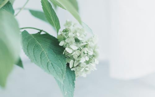 11.母爱就像水一样平淡，因为她为你付出了太多。母爱就像水一样简单优雅，因为她将所有美丽的事物留给了你。母爱就像水一样坚强不屈，因为她在你里面，在困难时期帮助你。