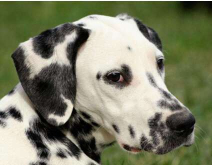 形容恐惧的审美句子1