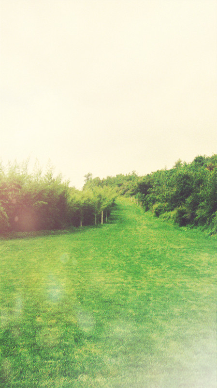 10.此时,您会突然感觉到“缺失”一词尚未触及我们所感受到的深度,远远不够!