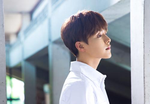 马天宇的经典语录1