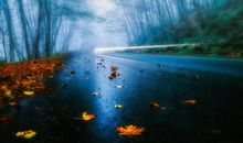 生活中的亲情的帮助的句子