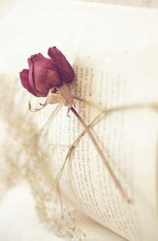 9.悲伤是真的，眼泪是假的，没有什么可依附的；一百年前，你不认识我，我不认识你；后视图是真的，人是假的，没有因果关系；一百年后，没有你，也没有我。