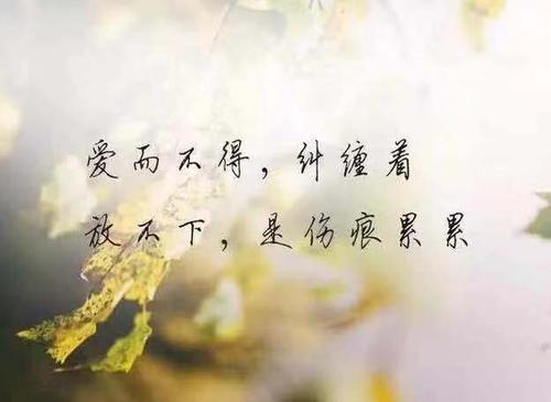 9.午夜时分,一点点阳光是旅行者的最后希望。他们是恶狼的眼睛!太阳;月亮;总是交替的。阳光;月光;在他们的光芒下,发生了很多荒谬的事情,事实证明我的微笑很残酷。