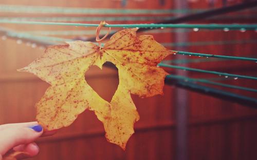 11.我知道很难忘记一个人，但是没有其他办法。