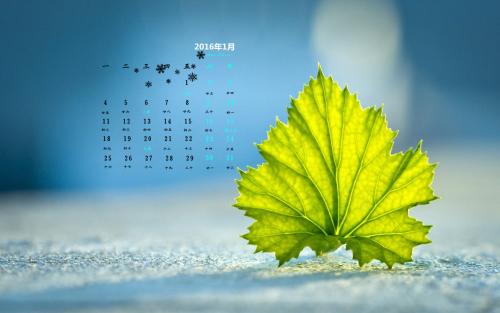 11.爱是如此短暂，而忘记却是如此漫长。