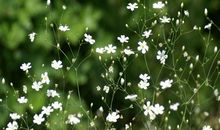 描述当今社会亲情的句子