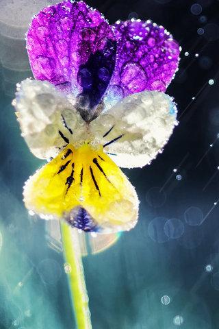 12.有一种爱,当迟到时不会再出现;离开后有一种无法追溯的感情,是家庭的感情!