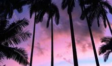 我们永远是亲情的句子