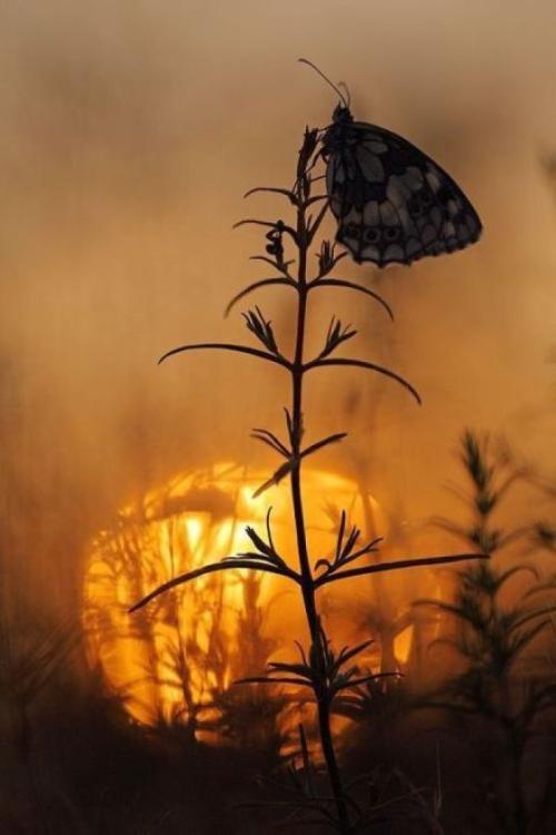 12.这是父母与我们小时候最大的区别。