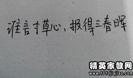 关于妈妈的句子