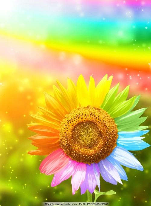 10.家人的感情是西西里岛的日落,缠绵却华丽。家庭感情是美索不达米亚平原上的铭文,含糊但有意义。