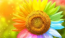 直击人心的句子亲情