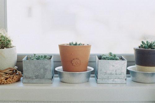 11.没有父亲,没有君主,也没有野兽。 -孟子