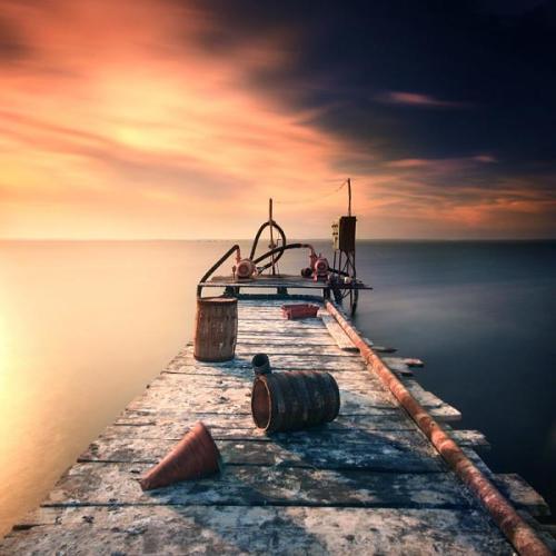 11.我是一个小胚胎。在晴朗的天空下，我不成熟的手臂在肥沃的土壤上打碎了土壤，并直立在火中。