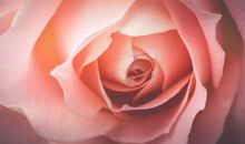 古籍中生死亲情的句子