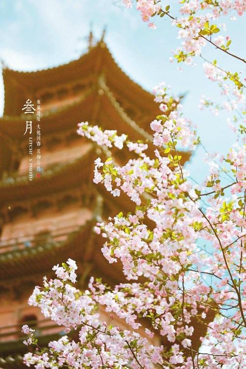 11.什么是家庭感情?明亮的眼睛引导我们前进;