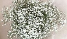 相信亲情缘分的句子