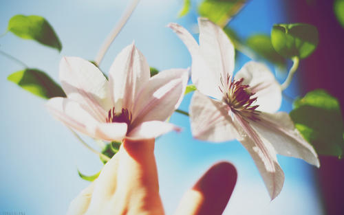 10.什么是家庭感情?是滋养我们成长的甜牛奶。