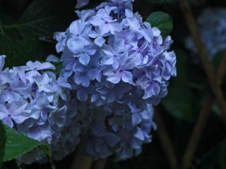 12.什么是家庭感情？家庭关爱的春天应该在爱的土地上流淌