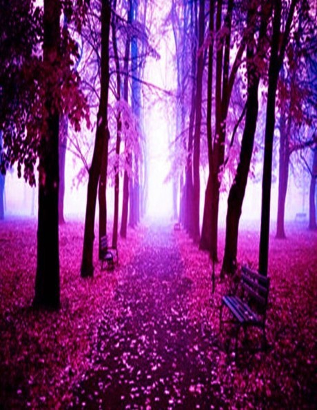 11.点燃我生命的烛光；照亮我的前进之路，珍惜母爱，为什么不呢？